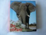 groning ea - de olifant in de natuur en de cultuurgeschiedenis
