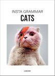 Irene Schampaert 142778 - Cats the best of Instagram