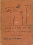 Morley, Margaret W. - Flowers and Their Friends