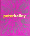  - Peter Halley