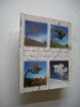 Brock, P. de - Postzegel uitgifte boek 1996 - De twaalf maanden van het jaar