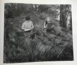 Citroen Paul - Landschappen, 60 tekeningen (pastel, inkt) en aquarellen in kleur en zwart wit, boeiende inleiding van Citroen zelf