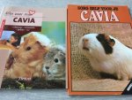 Hearne, T. - Twee boekjes; Zorg zelf voor je cavia