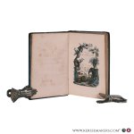 d'Orbigny, Charles. - Beschrijving der zoogdieren, volgens Buffon, in de volgorde van Cuvier, en met eene inleiding. Met honderd en veertig afbeeldingen (41 plates) getekend door Victor Adam.