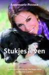 Postma, A - Stukjes leven