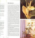 Herwig,Rob die ook foto' s maakte met J. van Dommelen & W. Stehling - 350 Kamerplanten , en hun toepassing in het interieur .. Met vele schitterende kleuren illustraties