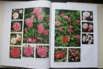 Mary Moody ; Harhness, Peter - Complete naslagwerk over rozen: ROZEN ENCYCLOPEDIE met meer dan 1100 klassieke en moderne rozen HET COMPLETE NASLAGWERK over ROZEN
