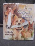 Belinda Meuldijk Illustraties van MichaelaRothauer - Een Groot Hart
