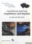 Necas, Petr & David Modry & Vit Zavadil - Czech recent and fossil Amphibians and reptiles: An Atlas and Fieldguide
