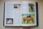 Hermsen - Paarden Encyclopedie