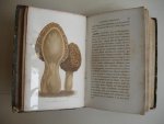 Ysabeau, A. and J. Remy. - Le jardinage ou l'art de créer et de bien tenir un jardin, par A. Ysabeau. Champignons et truffes, par J. Remy. Jardinier des fenêtres des appartements et des petits jardins, par J. Remy. In one volume.