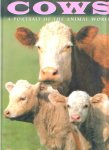  - KOEIEN:  COWS - a portrait of the Animal World - Danyal Payne, grootformaat
