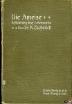 ESCHERICH, K. - Die Ameise. Schilderung ihrer Lebensweise. Mit 68 in den Text eingedruckten Abbildungen ESCHERICH, K. - Die Ameise. Schilderung ihrer Lebensweise. Mit 68 in den Text eingedruckten Abbildungen