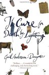 Gail Anderson-Dargatz - The Cure for Death by Lightning
