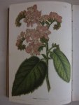 Oudemans, C.A.J.A. (red.). - Neerland's plantentuin. Afbeeldingen en beschrijvingen van sierplanten voor tuin en kamer. Tweede deel.