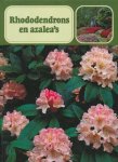Cor Verboom - Rhododendrons en azalea s