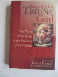 Buckley, James J. - Knowing the Triune God / The Work of the Spirit in the Practices of the Church