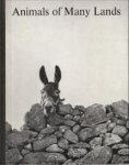 REICH, HANNS - Animals of many lands