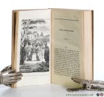 Capellari, Mauro. - Zegepraal des heiligen Stoels en de Kerk, over de aanvallen der met hunne eigene wapenen bestreden en geslagen neologen. Vertaald door Hermanus Tomas.