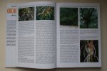 Jezek - encyclopedie: Geillustreerde Orchideeen Encyclopedie informatieve tekst met vele honderden schitterende kleurenfoto's