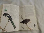 John Gooders; Terence Lambert - norman arlott - COLLINS BRITISH BIRDS