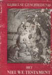 Wolfenbuttel-Van Rooyen, H. & A. van der Weijden O.E.S.A. (wetenschappelijke medewerking) & Gustave Doré (36+80 gravures) - Geschiedenis van het Nieuwe Testament + Geschiedenis van het Oude Testament (2 banden in bewaarbox)