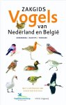Luc Hoogenstein, Ger Meesters en Jip Louwe Kooijmans en Elwin van der Kolk (illustraties) - Hoogenstein, Luc-Zakgids vogels van Nederland en België