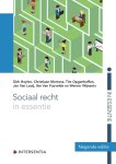 Dirk Heylen, Ivo Verreyt - Sociaal recht in essentie (negende editie)