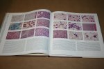 R.C. Curran - Colour Atlas of Histopathology  (with 765 Photomicrographs )