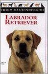 [{:name=>'B. Fogle', :role=>'A01'}] - Labrador Retriever / Atrium rashondengids