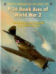 Lionel Persyn ,  Kari Stenman ,  Andrew Thomas 86325 - P-36 Hawk Aces of World War 2