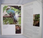 Rugoff, Milton e.a. - dierenleven in het gebergte