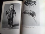  - Spiel uind Spielzeug aus aller Welt, Sonderausstellung 1971/72