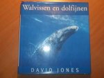 Jones, David - Walvissen en dolfijnen