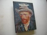 Wallace, Robert / Dam, L. van, vert - De wereld van Van Gogh, 1853-1890