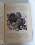 Brehm, A.E. - Het leven der dieren - naar den tweeden druk der volksuitgaaf - Deel 1 en deel 3 (2 delen)