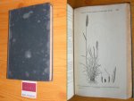 Hitchcock, A.S. - Manual of the grasses of the West Indies [Miscellaneous Publication No. 243]