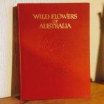Harris , illustrations Adam Forster - Wild Flowers of Australia