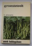 STIENSTRA, H., - Groenteteelt.