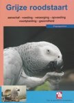 N. Snelder-Bouman - De grijze roodstaartpapegaai