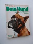 KLEVER, ULRICH, - Dein Hund das unverstandene Wesen.
