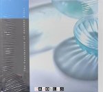 Martine Newby, Dolf Schut - The Fascination of Ancient Glass