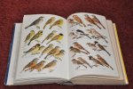 Makatsch, W. - Thieme`s handboek voor alle Europese vogels Makatsch, W. - Thieme`s handboek voor alle Europese vogels