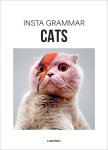 Irene Schampaert - Cats the best of Instagram