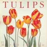 Peter Arnold 32100 - Tulips
