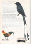 Jeyarajasingam, Allen & Pearson, Alan (ds1296) - A field guide to the Birds of West Malaysia and Singapore