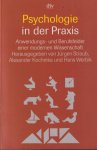 Straub, Jürgen, Kochinka, Alexander & Hans Werbik - Psychologie in der Praxis: Anwendungs- und Berufsfelder einer modernen Wissenschaft