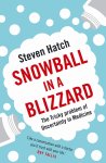 Steven Hatch - Snowball in a blizzard
