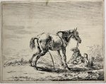 Dirk Stoop (c. 1610-1686) - Antique print, etching | Pissing horse [set of 12 horses] (Plassend paard), last state, altered, published 1651, 1 p.