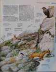Reader`s Digest - Gezinsgids voor de natuur : antwoord op 1001 vragen